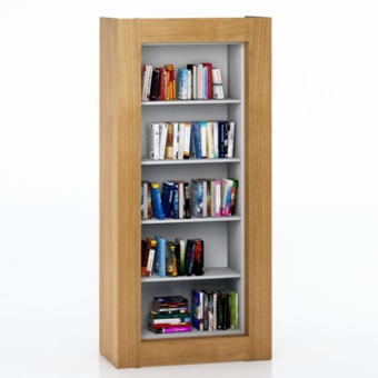 Framed Single-Column Library Bookcase